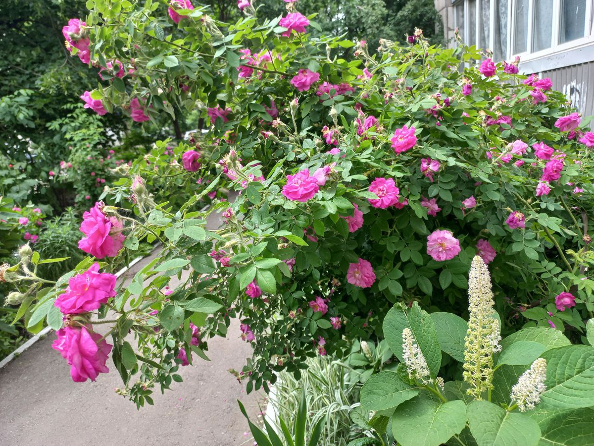 Фото автора.