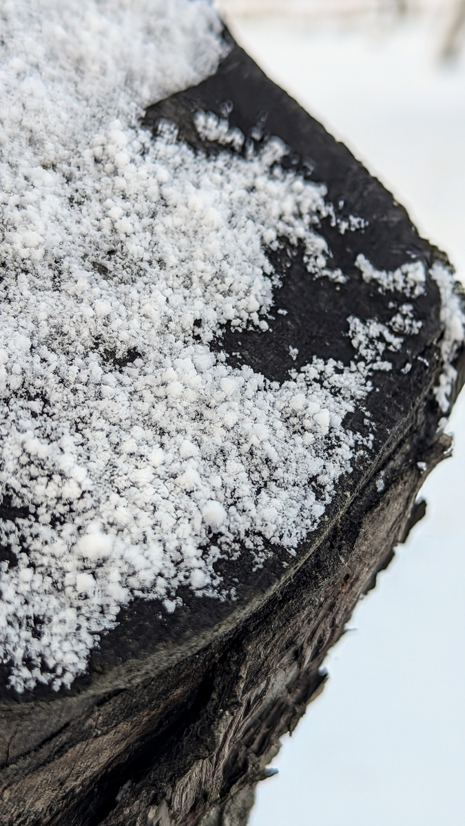 Сегодня снег крупинками