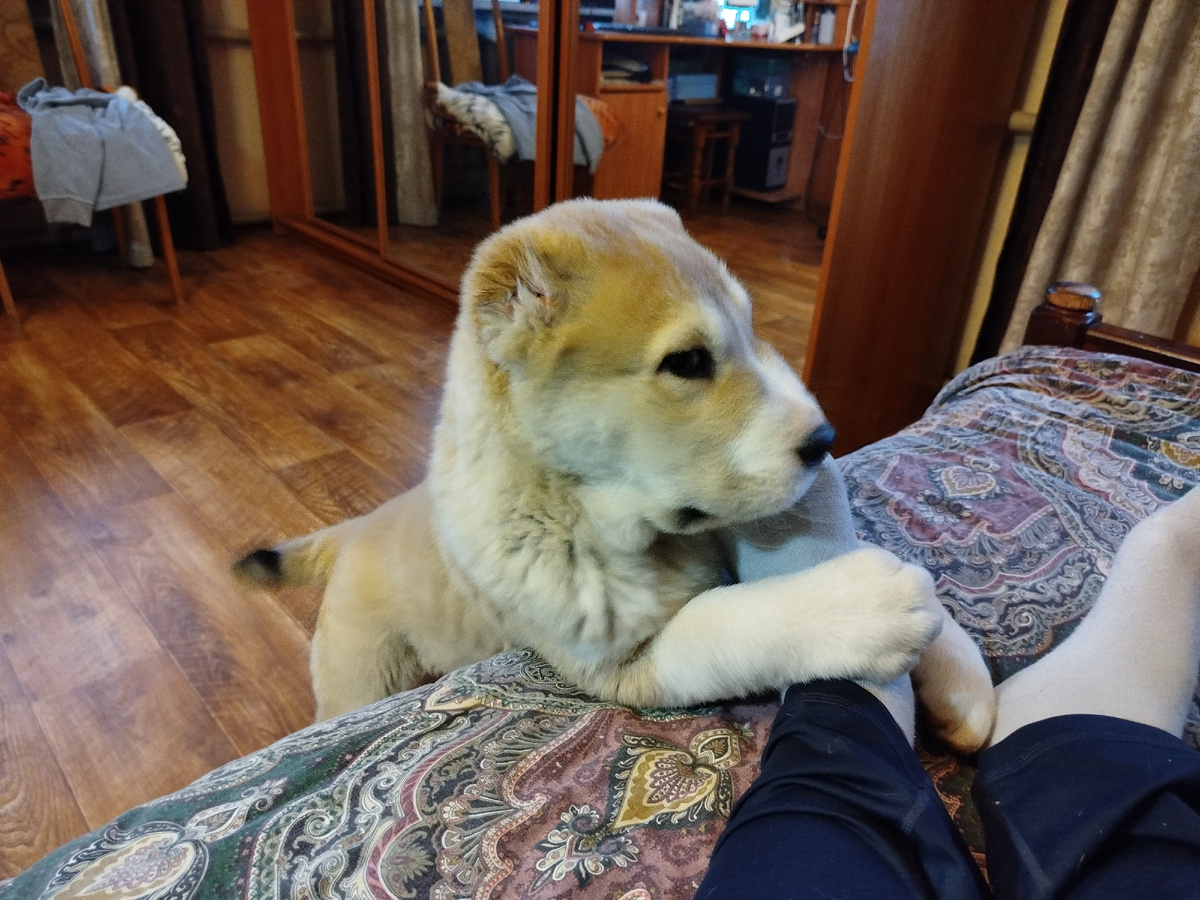 Пишу лёжа, с телефона. Он меня нашел)