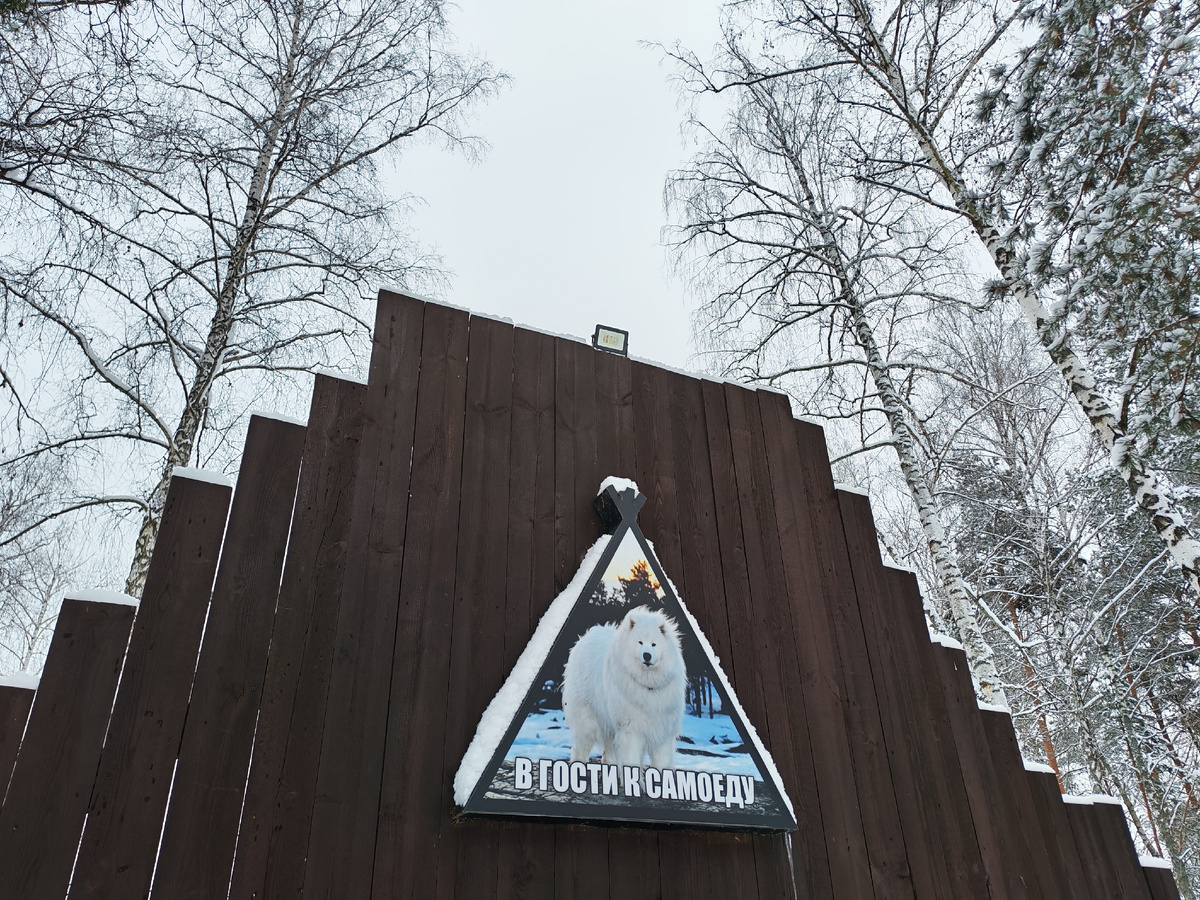 Возле питомника. Фото моё