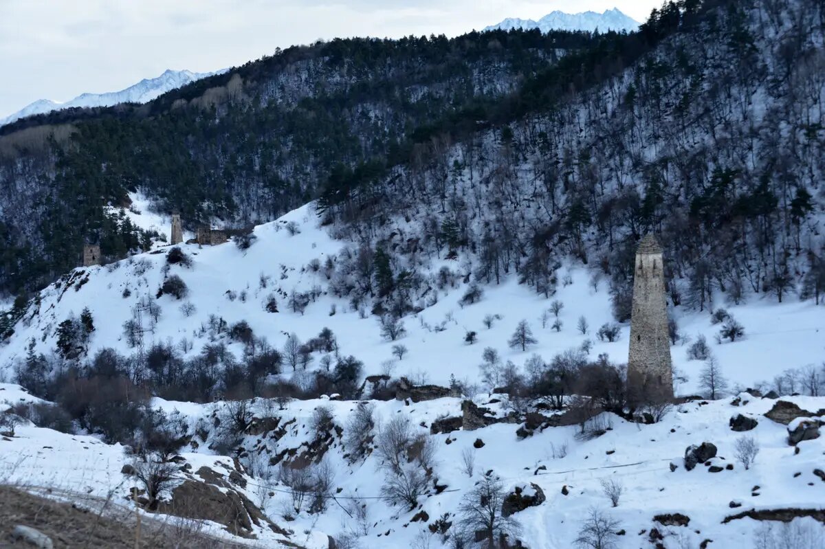     Башни Дошхакле и Гадаборш в Джейрахском районе Ингушетии. © РИА Новости. Саид Царнаев