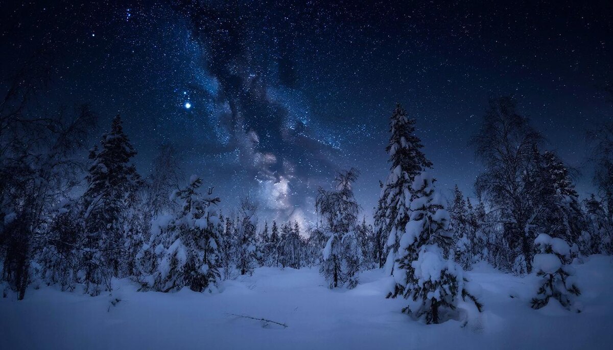 Роскошный день для того, чтобы общаться, тусить и весело провести 2025 год.