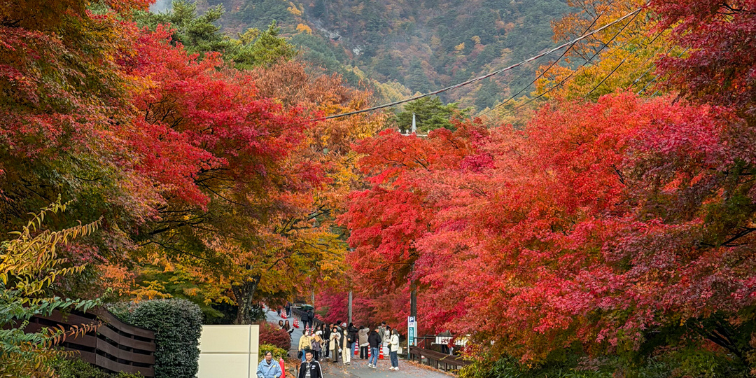 Мой самый яркий осенний день: момидзи в Японии