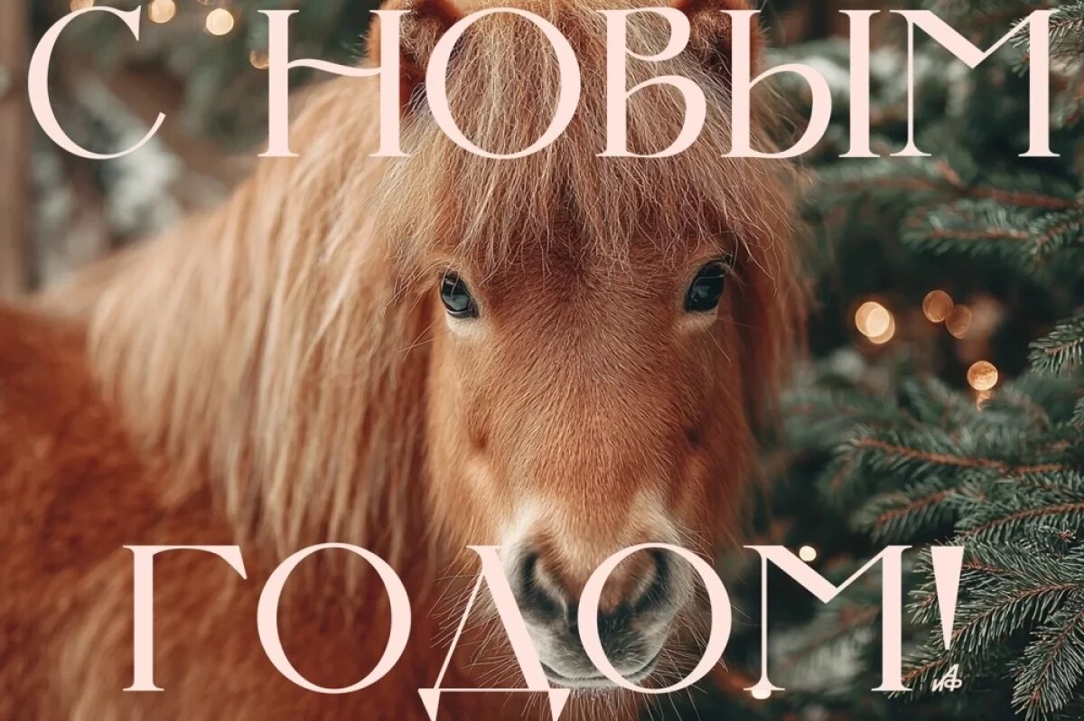    На любой вкус.