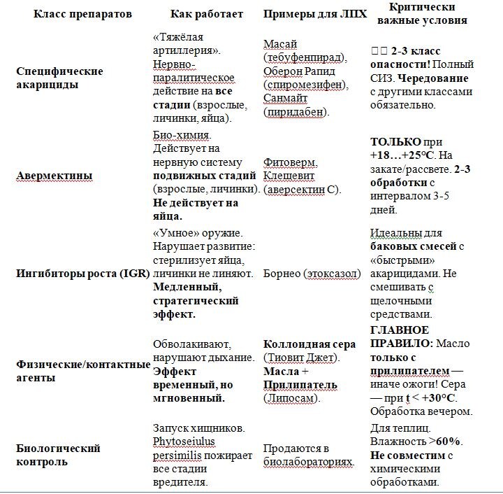 Таблица и фото Натальи Мироновой
