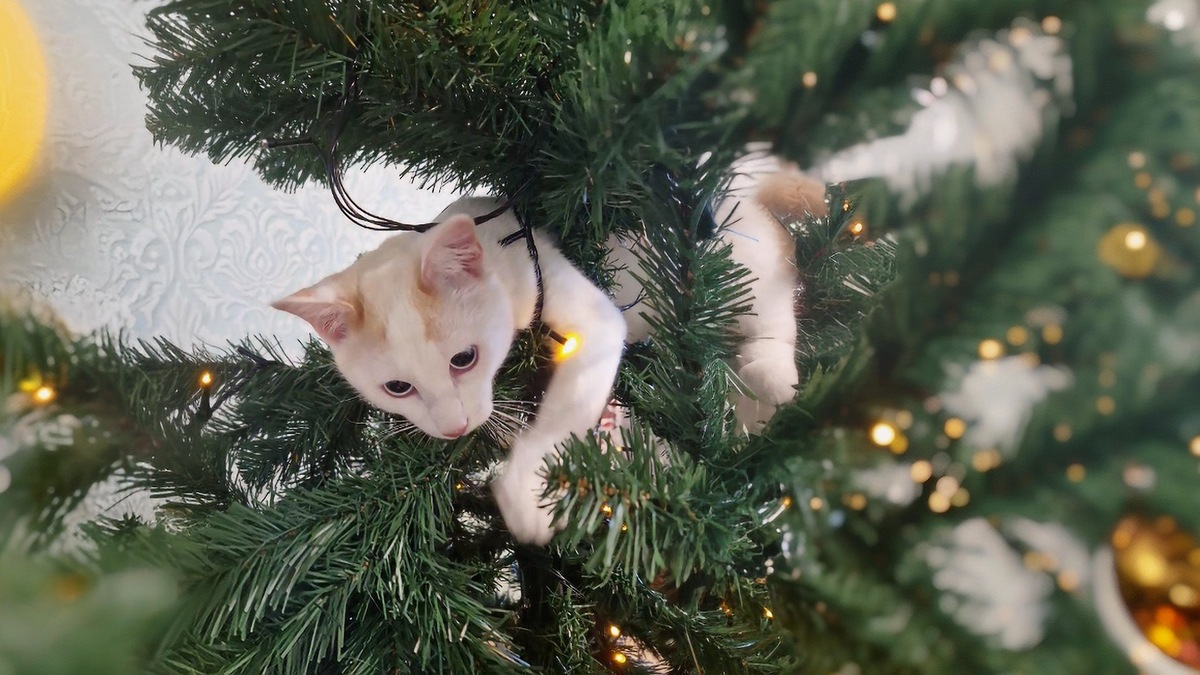 Прощай, елка...