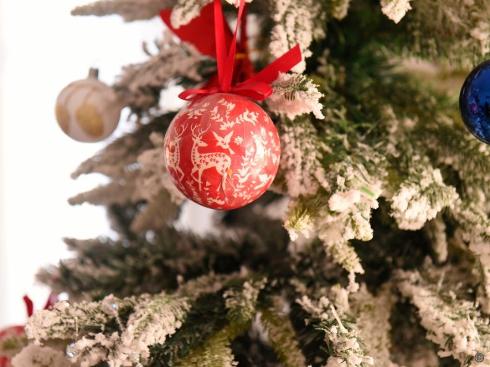    Вячеслав Франк в гостях у семьи Брит. Источник: Barnaul.org