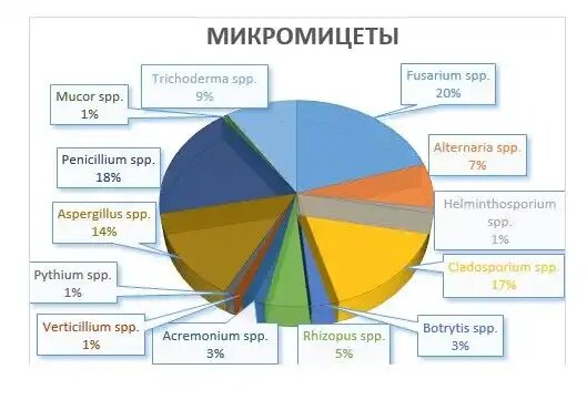 Преобладающие микромицеты в почвах Тамбовской области, инфографика: Россельхозцентр