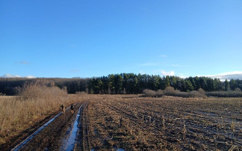    Фото: комитет Республики Татарстан по охране объектов культурного наследия
