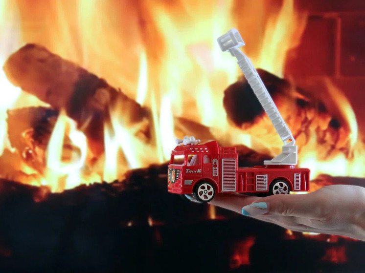     Фото: Василий Осипов/ «МК Черноземье»