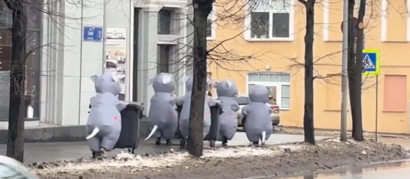   скрин видео
