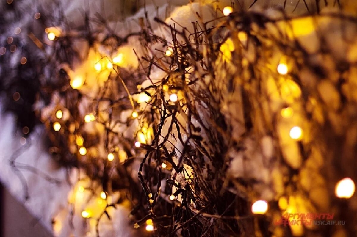    Более 1800 событий: Губернатор анонсировал программу досуга в НСО