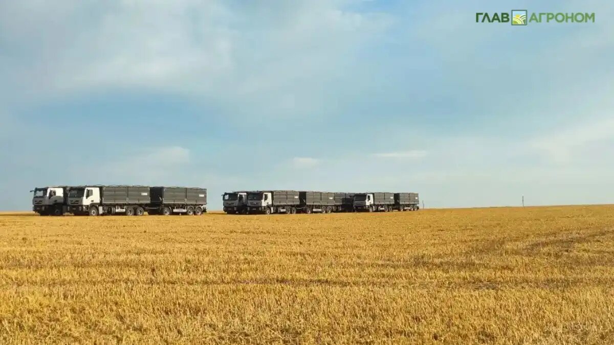 Фото:© Артем Борисов / Glavagronom.ru
Экспорт продукции АПК снижается в России последние 3 года