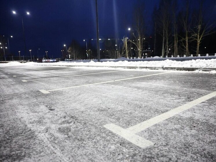     Фото: Комтранс Петербурга.