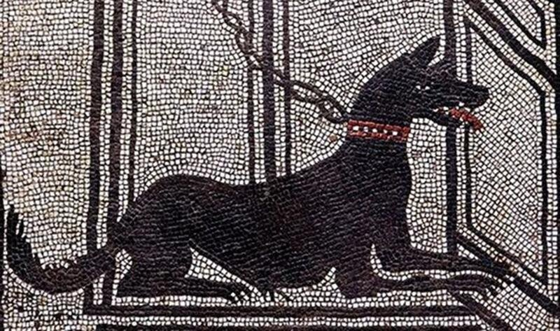 Мозаика с изображением цепного пса. Помпеи, I в. н.э.