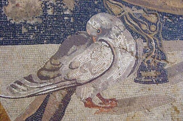 Фрагмент древнеримской мозаики с голубем. Помпеи, I в. н.э.
