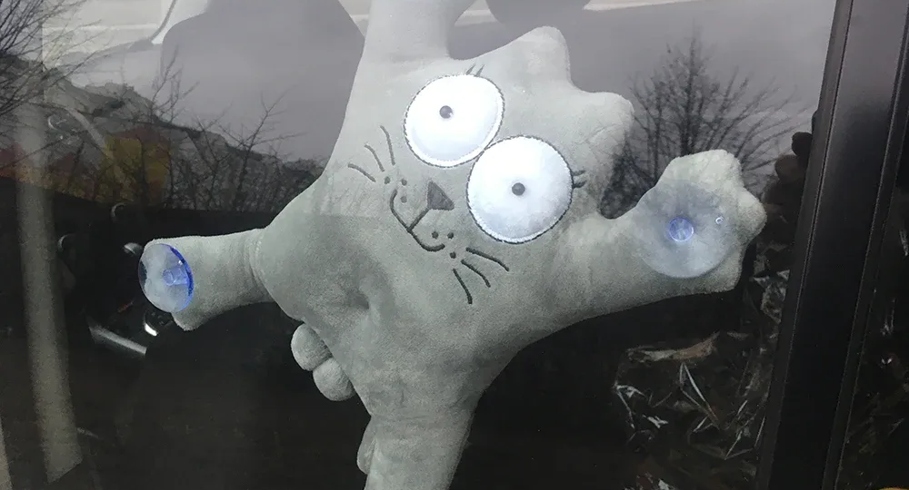 Найти себя и не только....