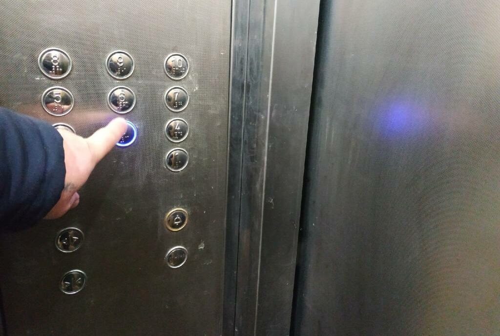    фото: Елена Костюченкова