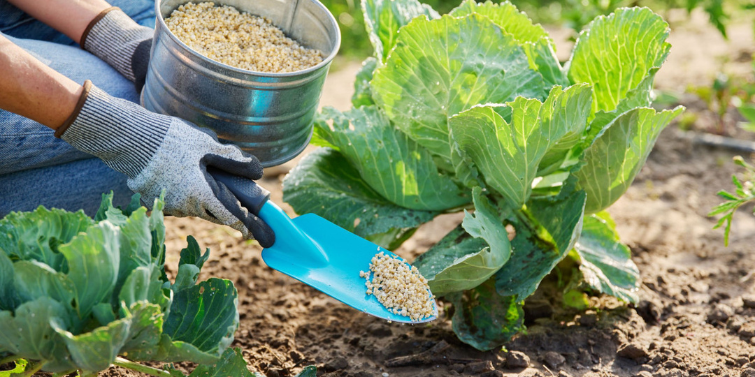 Что вы не знали о минеральных удобрениях — мифы и реальная польза