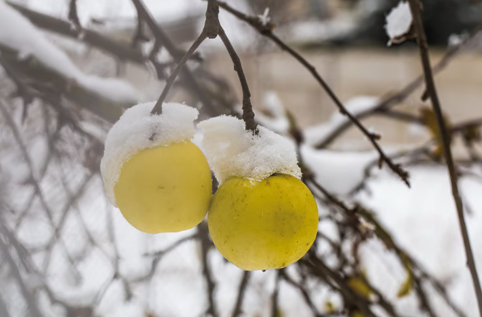 Freepik \ pvproductions