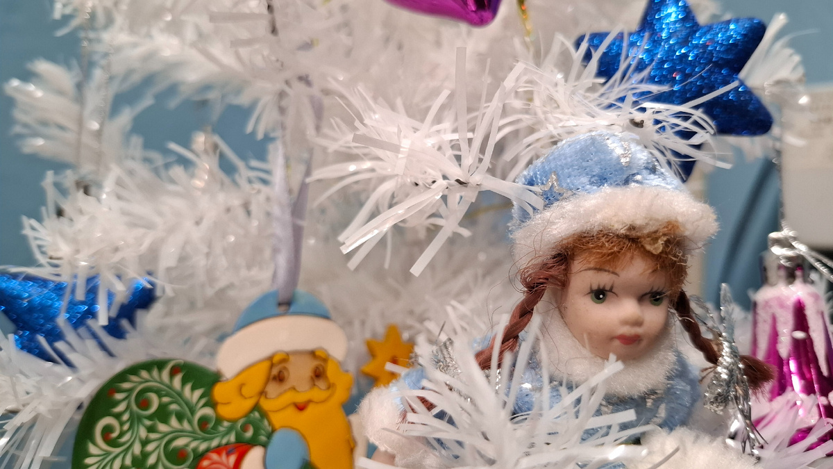 Ёлка не моя)