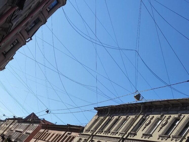     В этом году к сети было подключено более 28 учебных заведений. Фото: архив МК в Питере