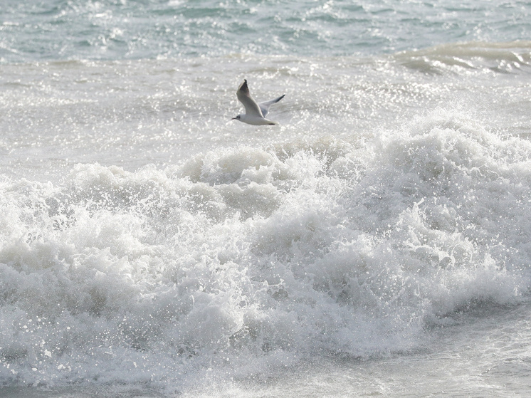     Фото: Petrov Sergey/news.ru/ Global Look Press