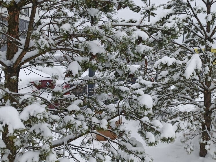     «МК-Иваново»