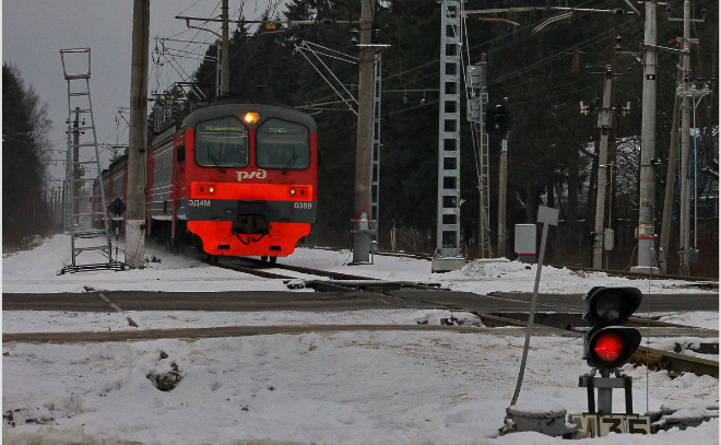    © Анастасия Илюшина / ЛенТВ24. Архивное фото