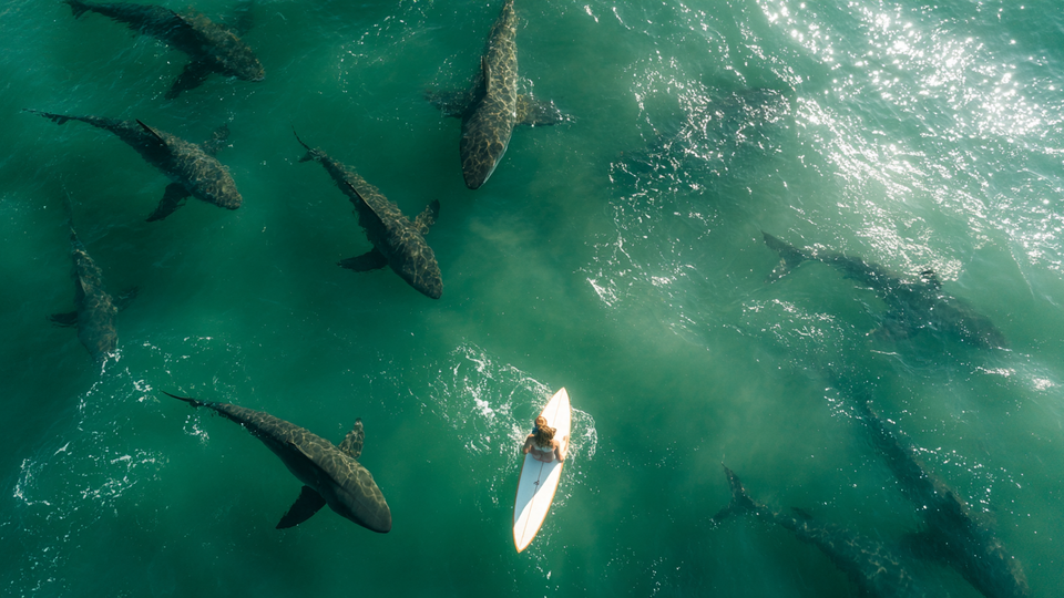 Фото: © РЕН ТВ 