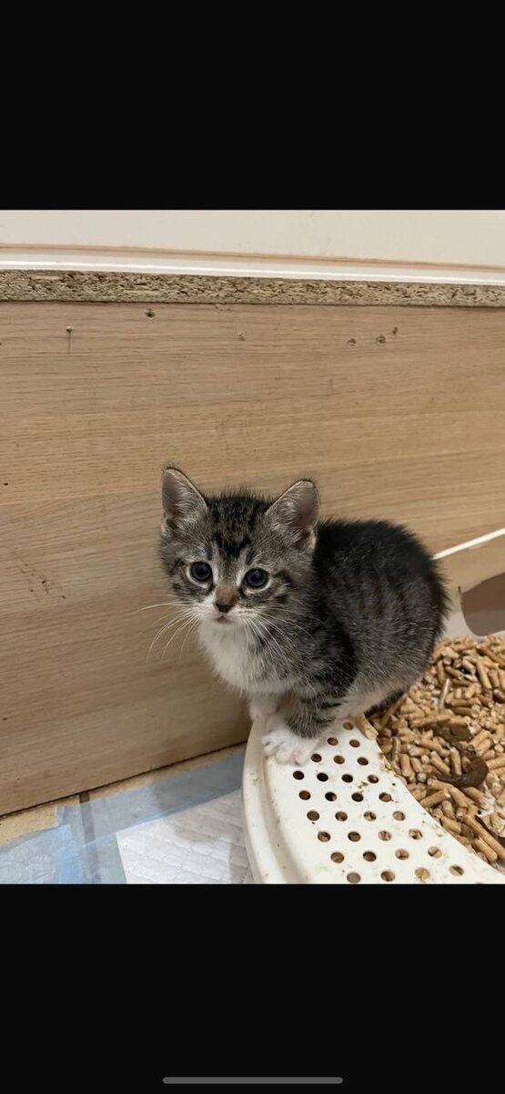 А кто такая Соня?