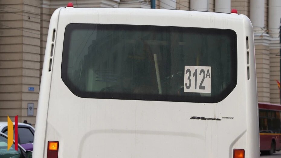    Автор фото: Виктория Курляндская (из архива)