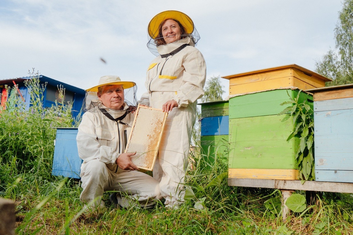 Фото: страница Семейной пасеки Жилиных во ВКонтакте