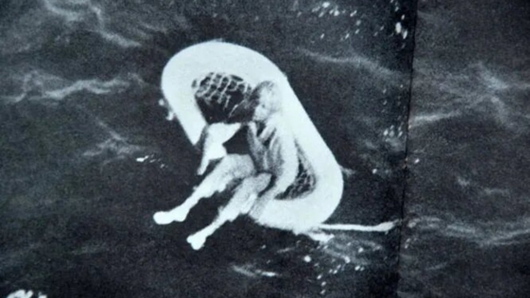 Терри Джо Дюперро. Фото из открытого источника