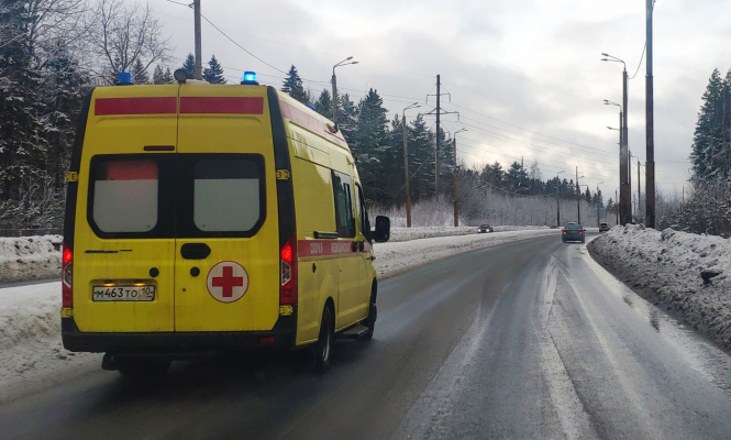    фото: © Столица на Онего