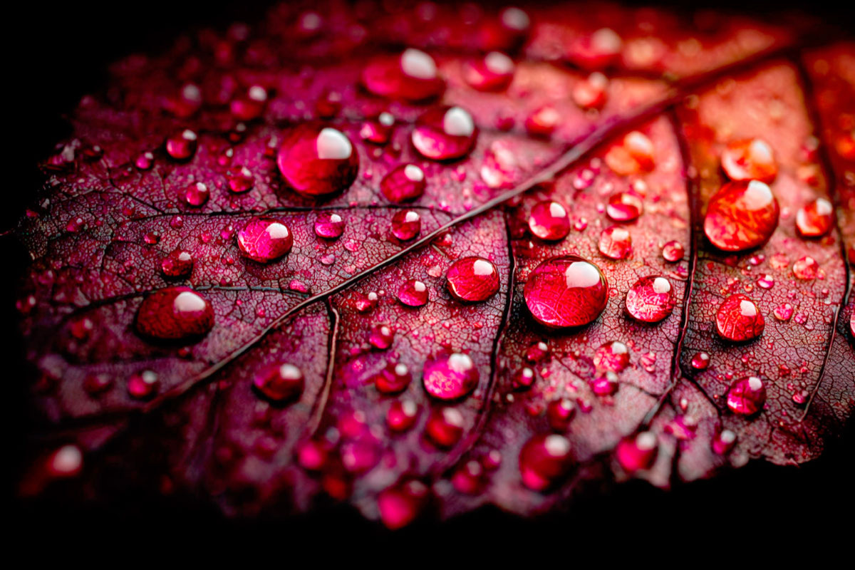 Вскоре человек начинает вспоминать детали, которых никогда не существовало