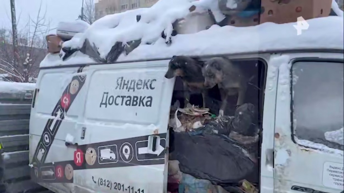    Фото: Скриншот с видео / РЕН ТВ|Новости / Telegram