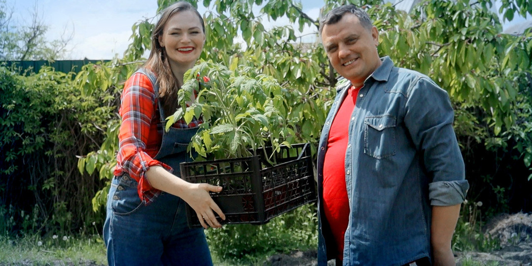 Рассада переросла, а на улице холодно - держать дома или высаживать под укрытие?