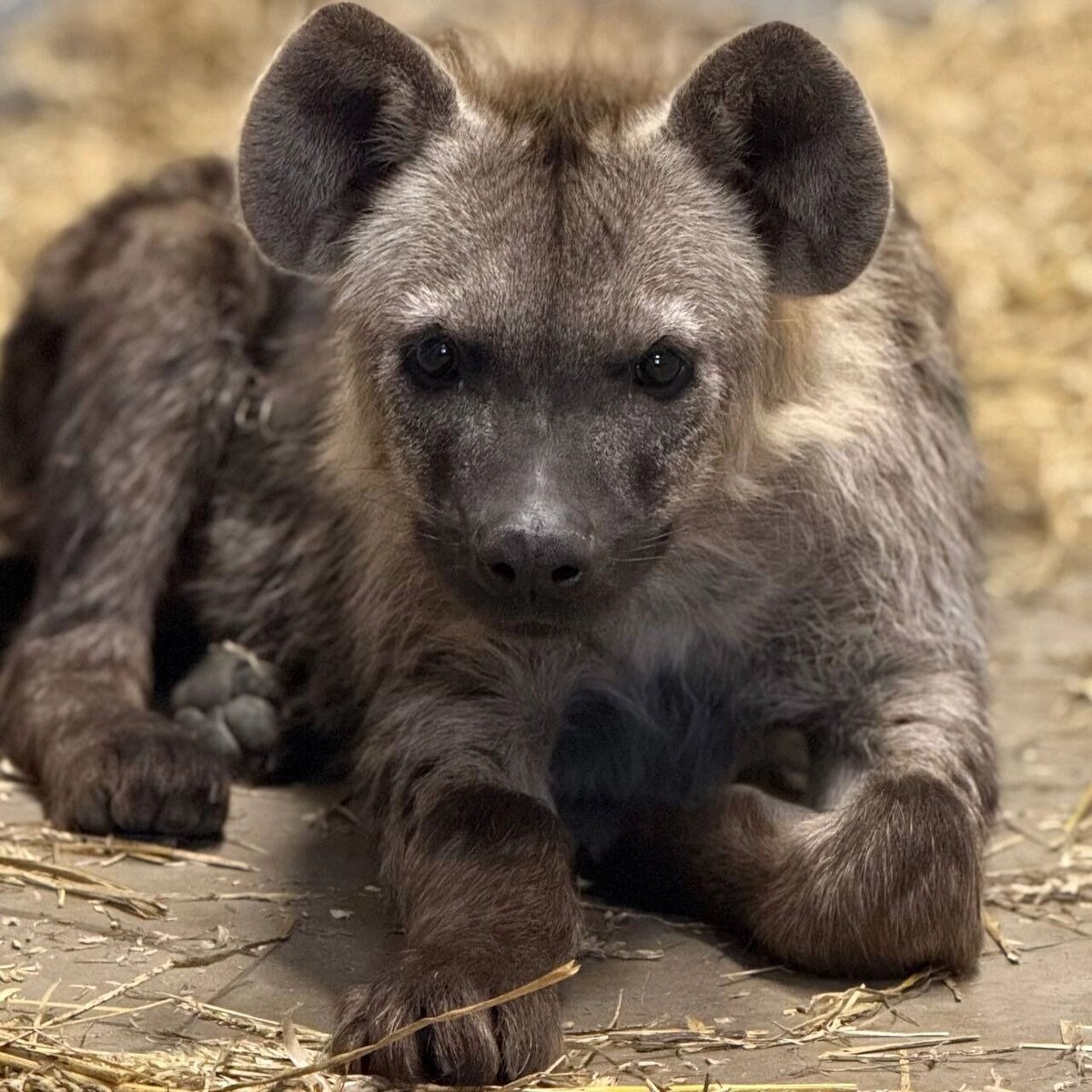   Пермский зоопарк