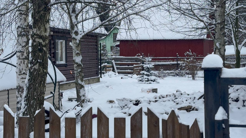    Фото: ИЗВЕСТИЯ; 5-tv.ru