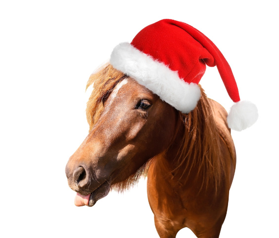 Мы с конем в новогоднюю ночь: как правильно встречать в этом году