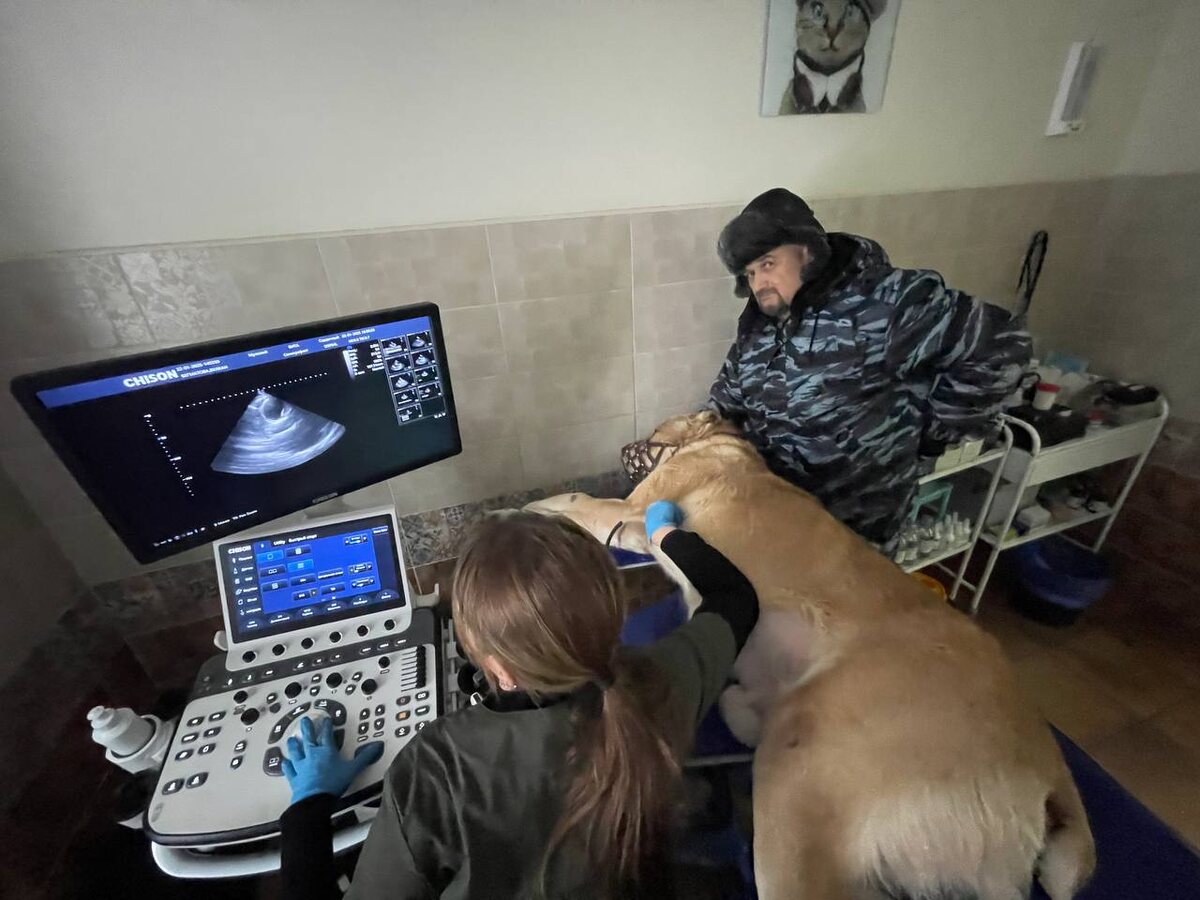 Алексей с Вулканом на приеме у кардиолога 