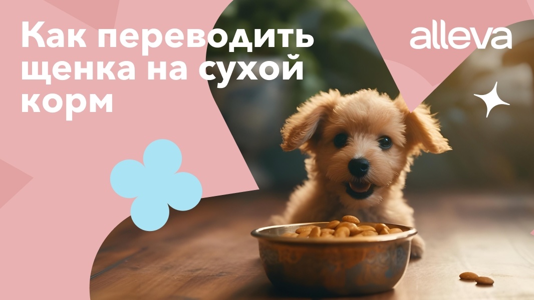 Создать карусель