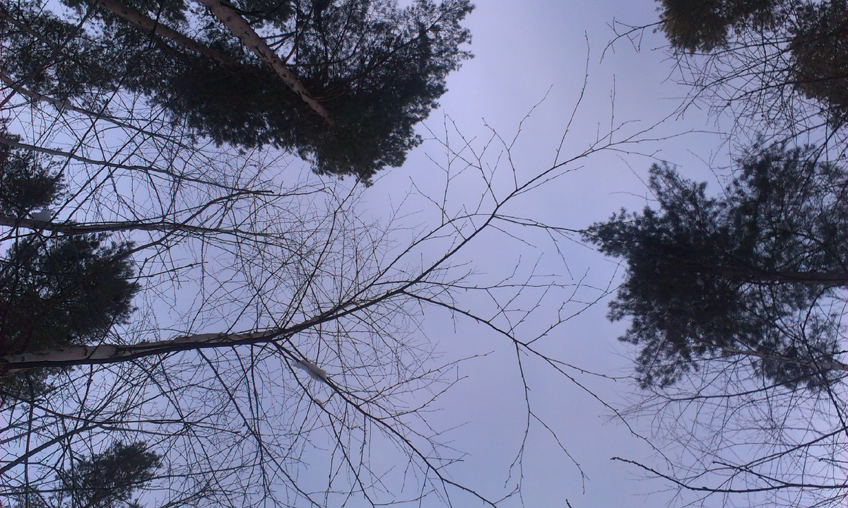 Фото, кстати, сделано 28 декабря 2013, за два дня до окончания работы над текстом