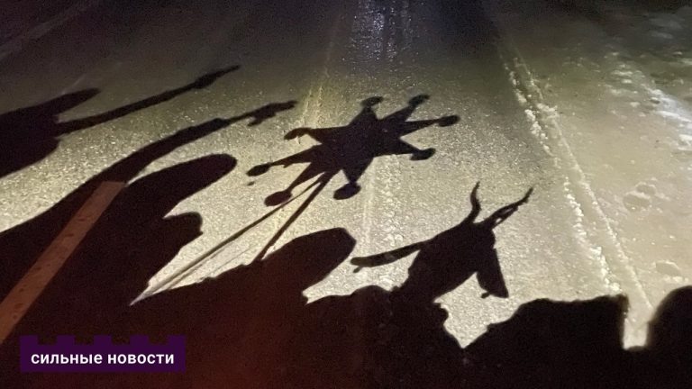 Забарона на сваркі, варожбы на жаніха і эратычныя гульні. Як святкавалі Каляды на Гомельшчыне