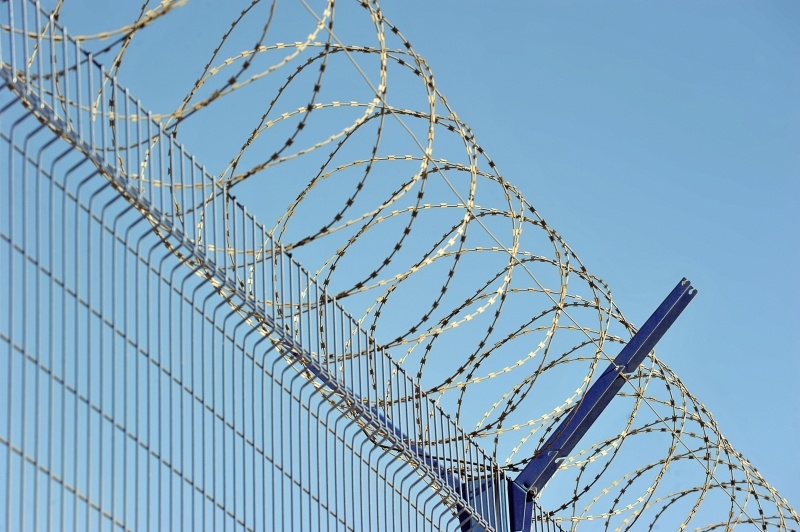    Фото: forden/shutterstock