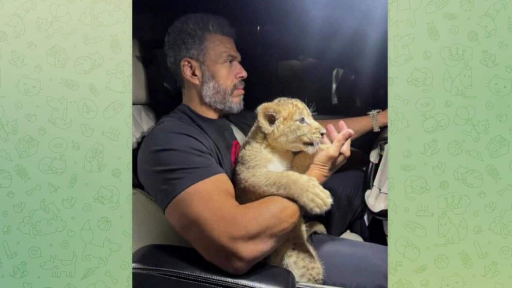    Телеграм-канал "112"