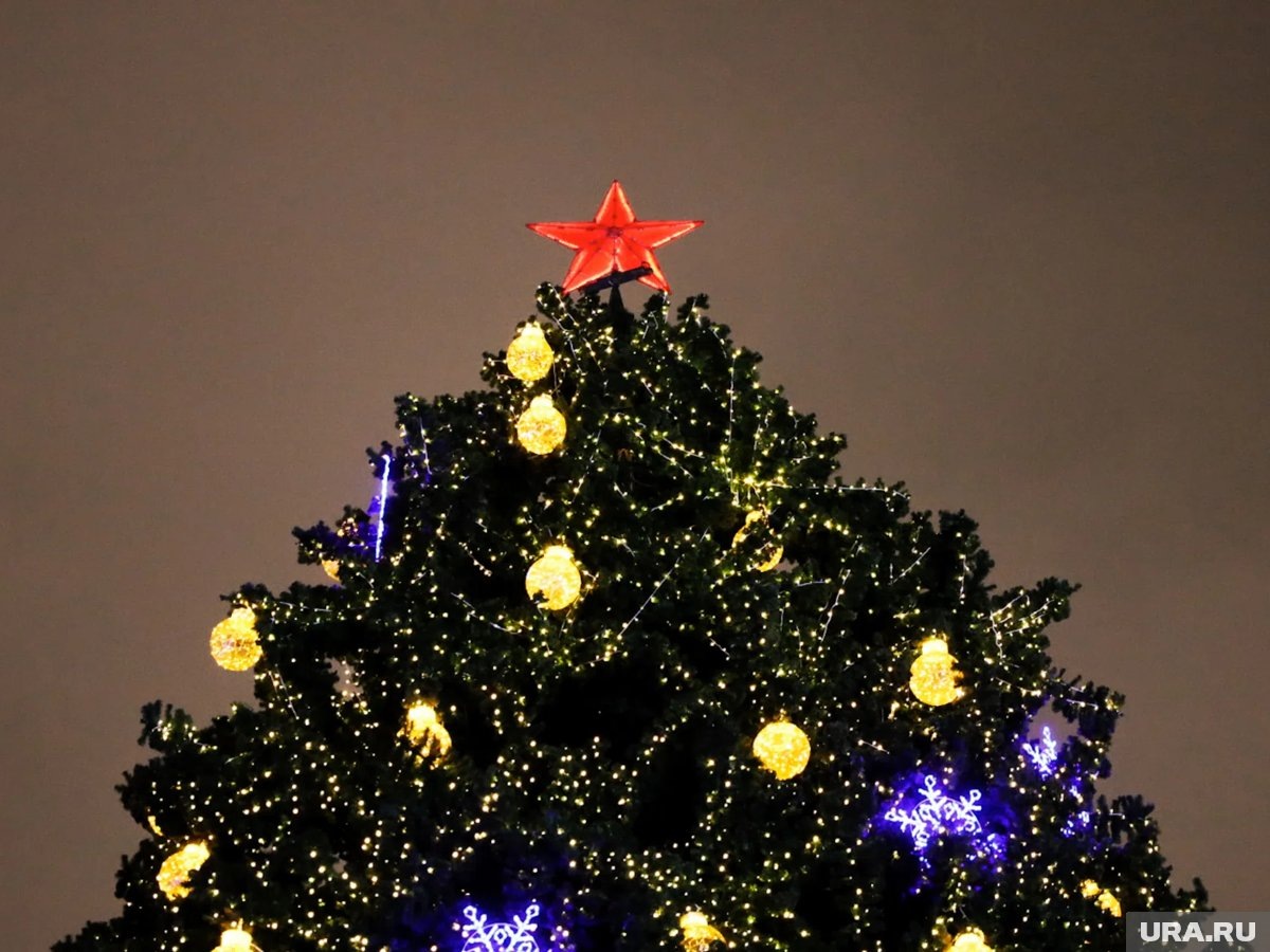     В Шадринске зажгли огни на главной елке города (архивное фото)