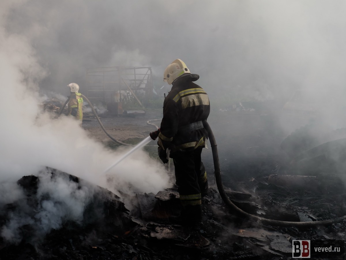     Фото: Владислав Постников / Вечерние Ведомости