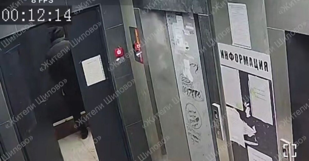    Фото: скриншот из видео